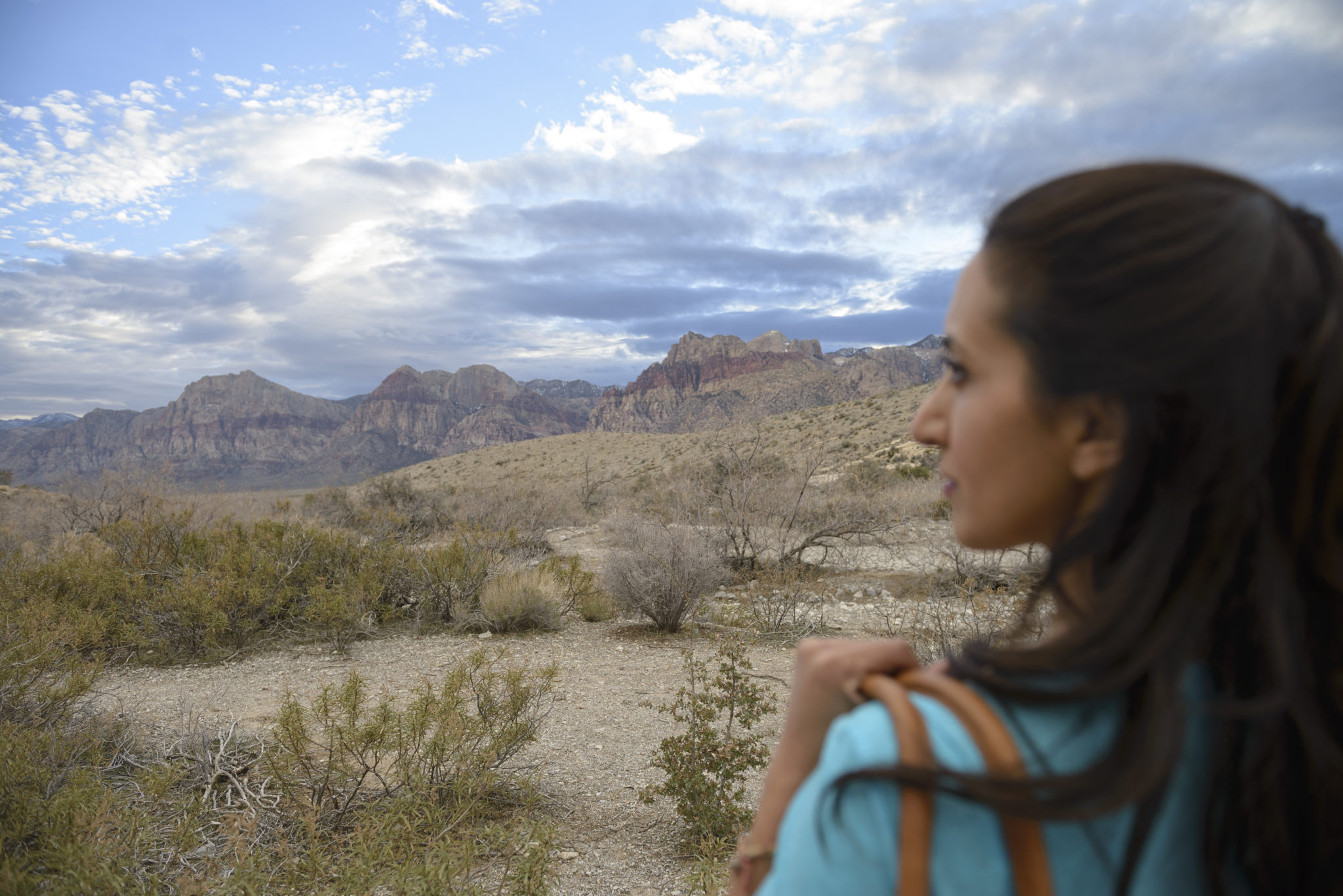 Afford Anything Travel Rewards Paula Pant What Would You Do if You Didn't Have to Work